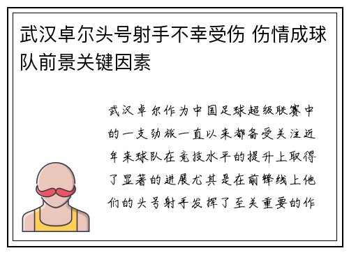 武汉卓尔头号射手不幸受伤 伤情成球队前景关键因素