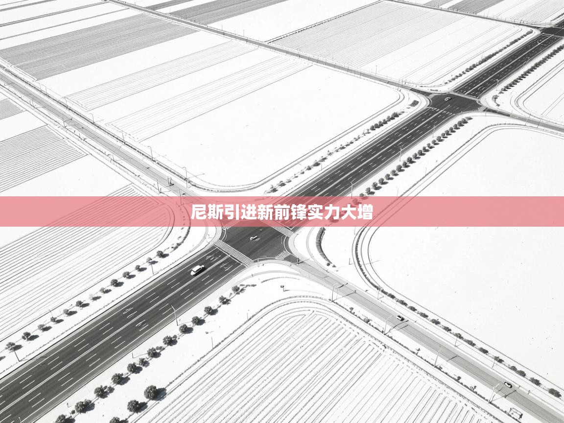 尼斯引进新前锋实力大增  第2张